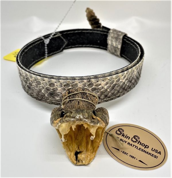 Genuine Rattlesnake Head and Rattle Hatband