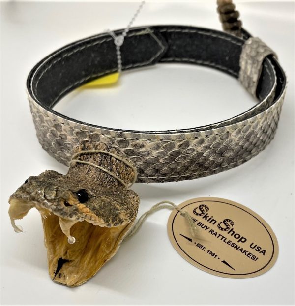 Genuine Rattlesnake Head and Rattle Hatband