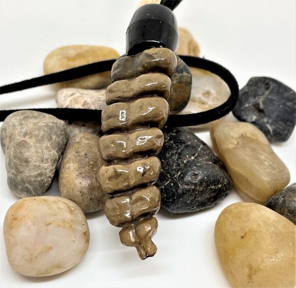 Genuine Rattlesnake rattler necklace