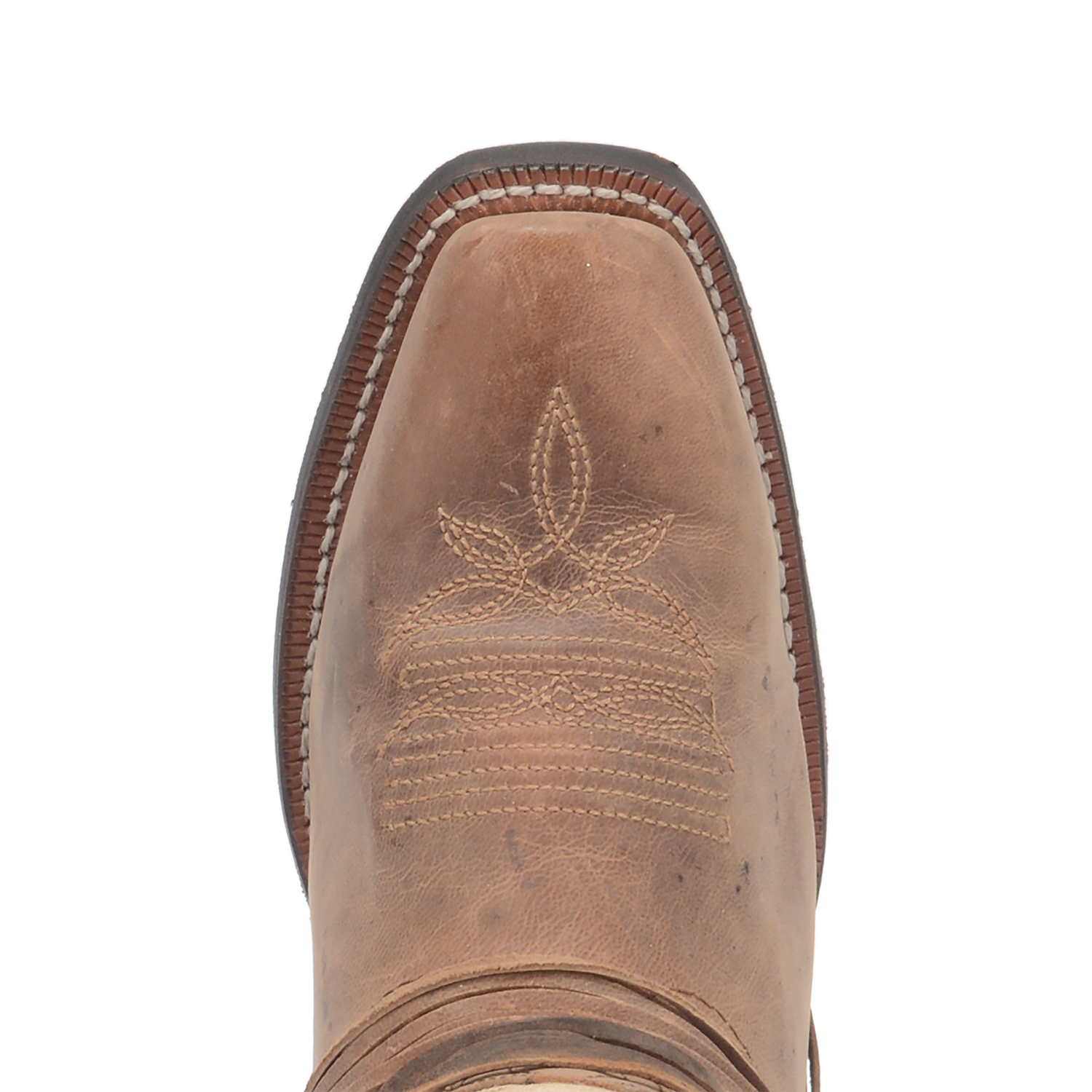 51091_6